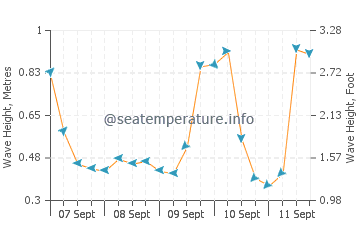 Kawau Island wave height and direction