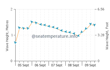 Kirra wave height and direction
