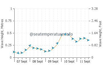 Kyndyg wave height and direction