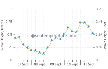 Kyosai wave height and direction