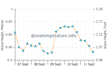 Lewis Bay wave height and direction