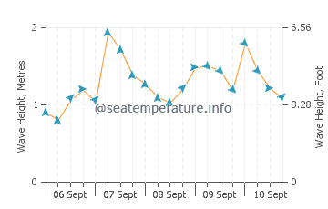 Lower Hutt wave height and direction