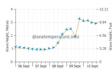 Maicolpue wave height and direction