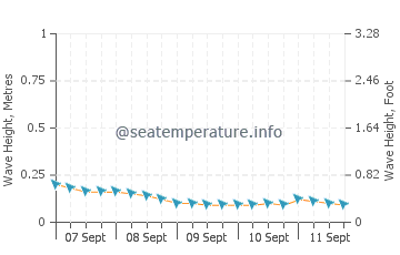 Maimbung wave height and direction