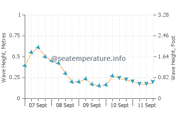 Maizuru wave height and direction