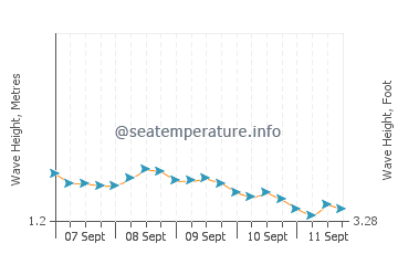 Majorda wave height and direction