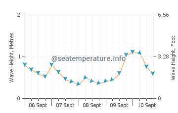 Maketu wave height and direction