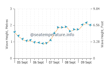 Marrawah wave height and direction