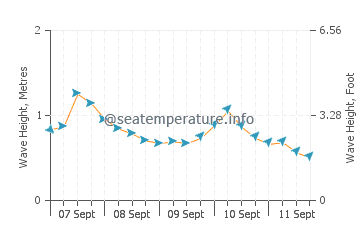 Maslin Beach wave height and direction