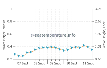 Masohi wave height and direction