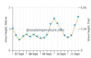 Matarangi wave height and direction