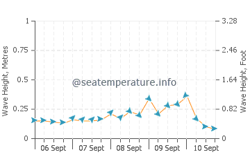 Mauhao wave height and direction