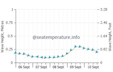 Maurole wave height and direction