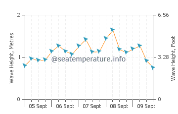 Merauke wave height and direction