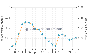 Mielno wave height and direction