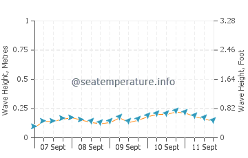 Minamata wave height and direction