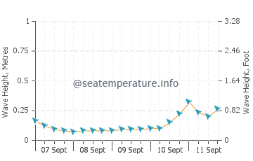 Misool wave height and direction