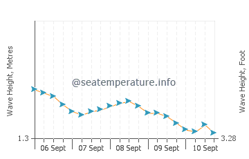 Morjim wave height and direction
