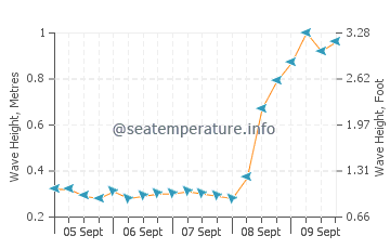 Mount Pleasant wave height and direction