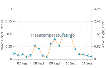 Mount Sinai wave height and direction