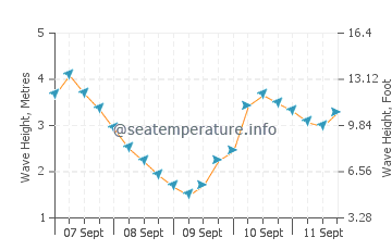 Muriwai wave height and direction