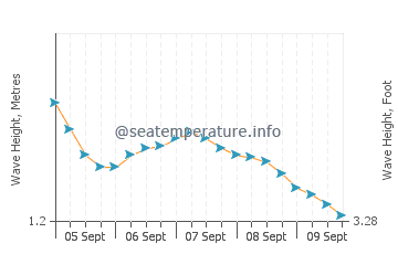 Murud wave height and direction