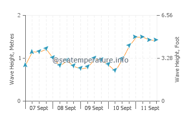 Mwnt wave height and direction