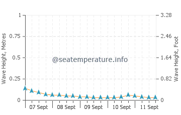 Naga wave height and direction