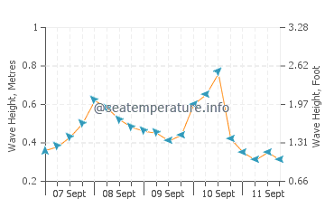 Napier wave height and direction