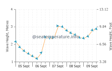 Nemina wave height and direction