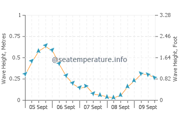 Nervi wave height and direction