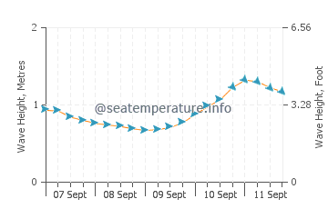 Neskowin wave height and direction