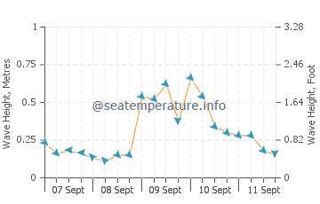 Picton wave height and direction