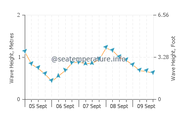 Newhaven wave height and direction
