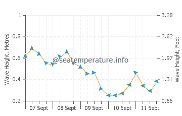 Newtown wave height and direction