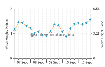 Neyland wave height and direction