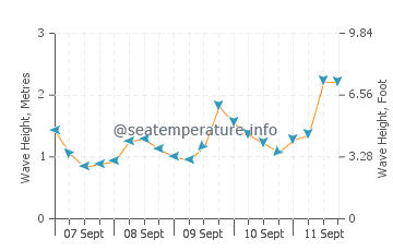 Ngunguru wave height and direction