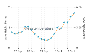 Normans Bay wave height and direction