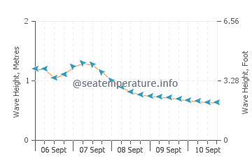 Ofunato wave height and direction