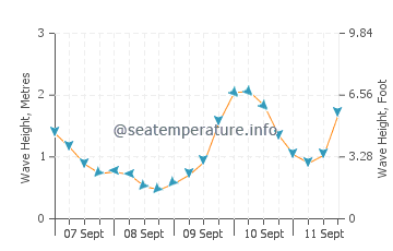 Ohope Beach wave height and direction