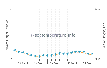 Ojochal wave height and direction