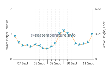Omokoroa wave height and direction