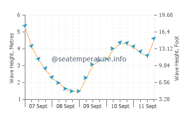 Pahia wave height and direction