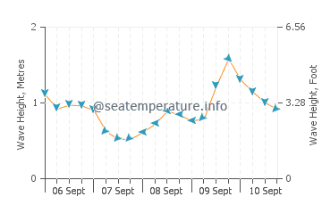 Paihia wave height and direction