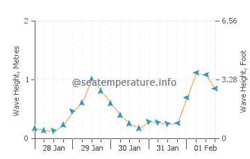 Palio wave height and direction