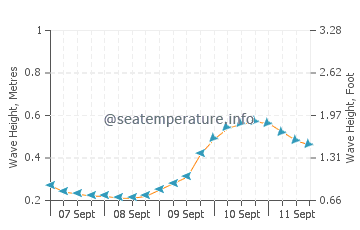 Palm City wave height and direction