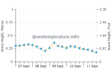 Palm Harbor wave height and direction