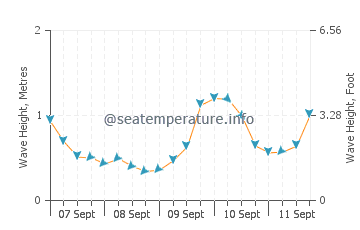Papamoa wave height and direction