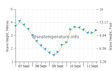 Parakai wave height and direction