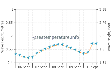Pariaman wave height and direction